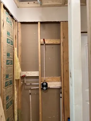 Professional Plumbing Solutions, LLC