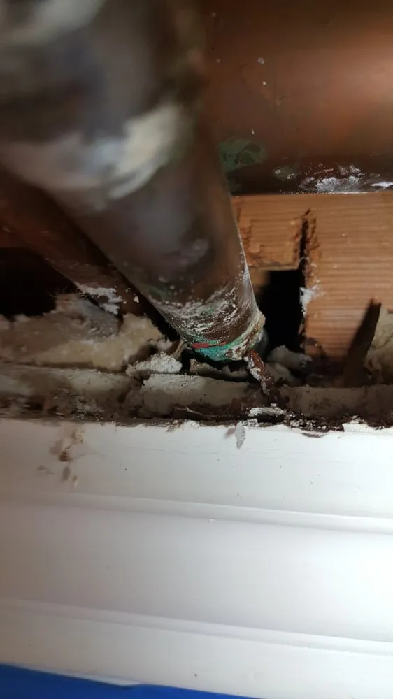 Emergency plumbing repair for homes in St Clair Shores, MI by Professional Plumbing