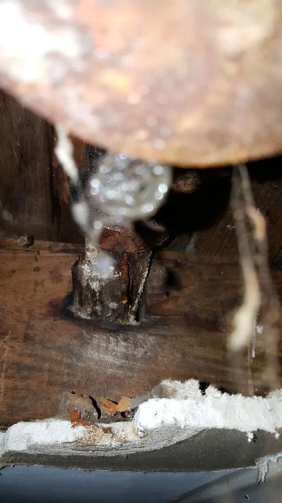 Top-rated plumbing repair service in St Clair Shores, MI - Professional Plumbing
