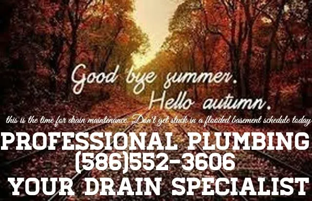 Affordable emergency plumbing service in St Clair Shores, MI - Professional Plumbing