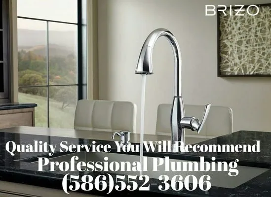 Professional Plumbing