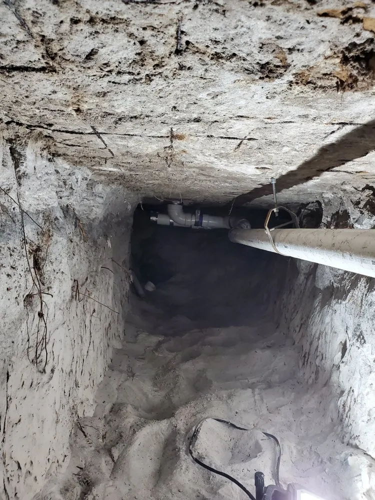 Slide of Professional Poo Services