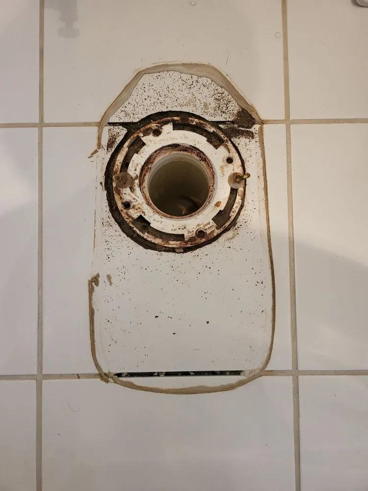 Slide of Professional Poo Services