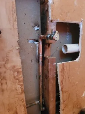 Professional Poo Services Logo