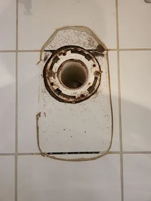 Professional Poo Services Logo