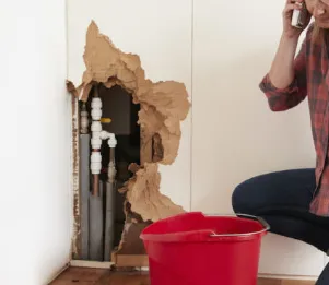 Slide of Professional Restoration Services