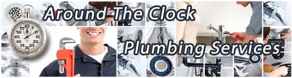 Professional Service