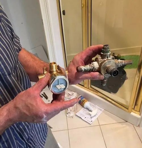 Slide of Professor Plumb