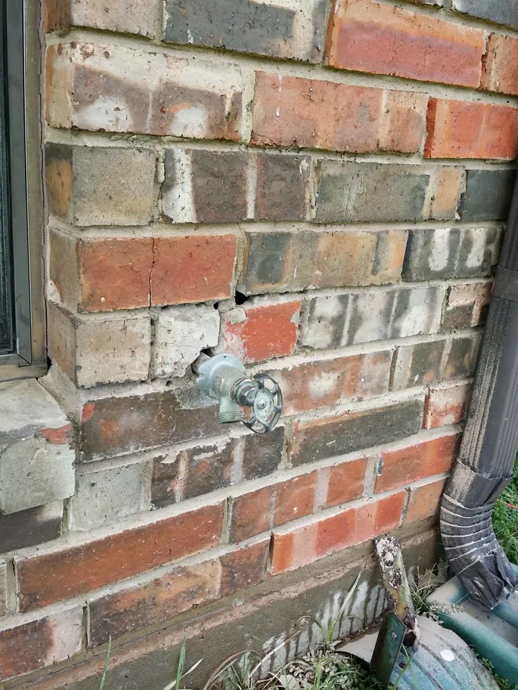 Slide of Professor Plumb