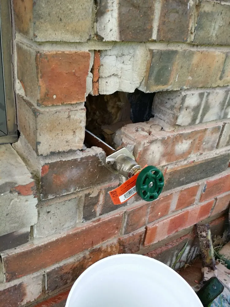 Slide of Professor Plumb