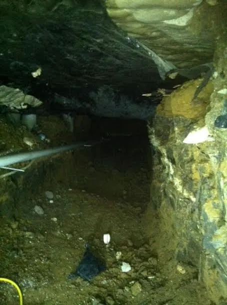 Top-rated emergency plumbing service in Dallas, TX - Professor Plumb