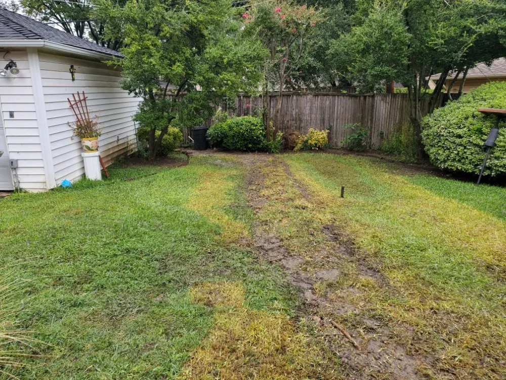 Slide of Professor Plumb