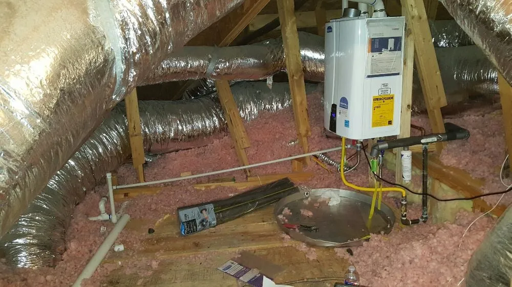 Slide of Professor Plumb