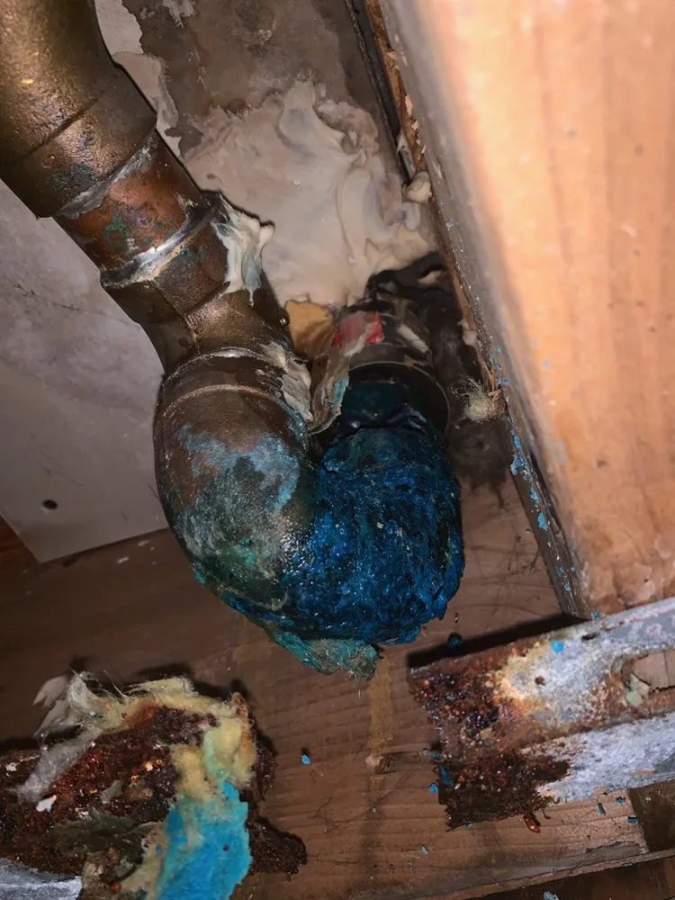 Slide of Proficiency Fire Protection & Plumbing