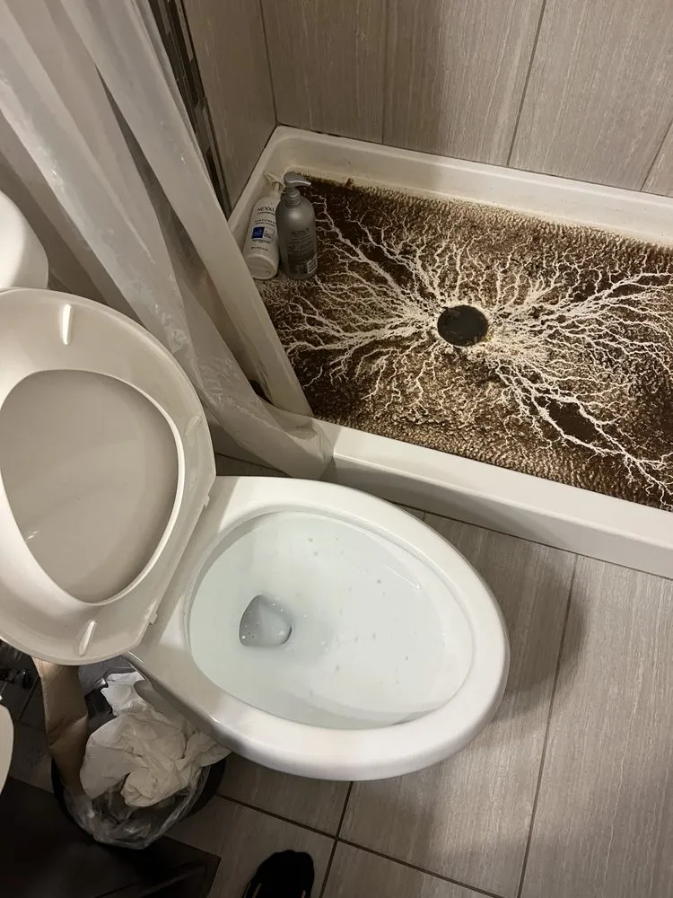 Trusted emergency plumbing for homes in Sacramento, CA by Proficient Plumbing and Drain