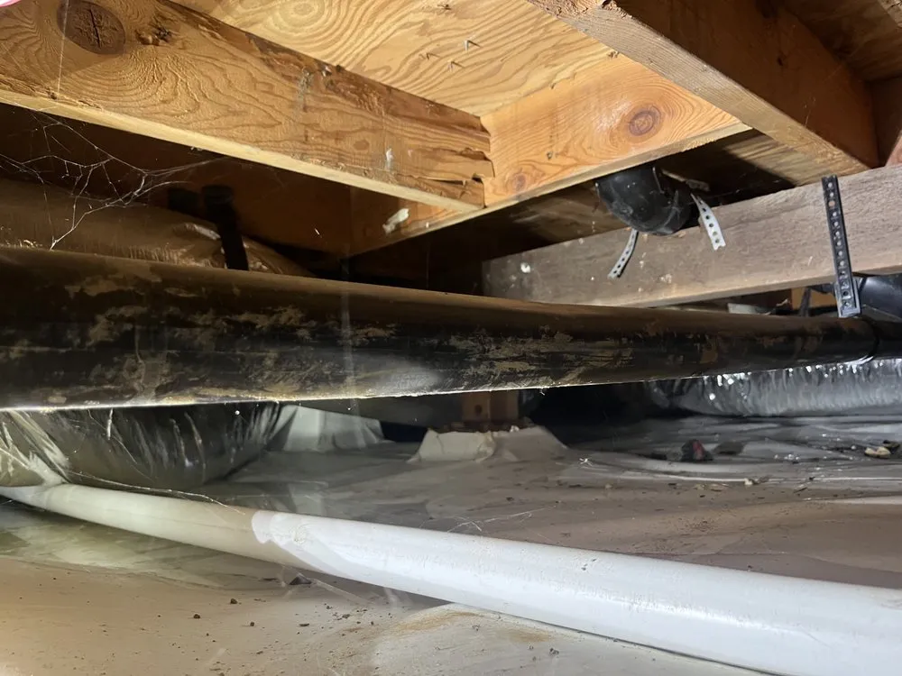 Slide of Progressive Plumbing & Rooters