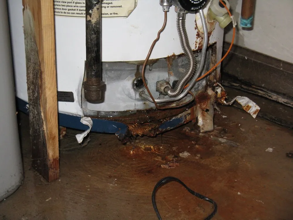 Emergency drain cleaning service in Santa Monica, CA - Progressive Plumbing
