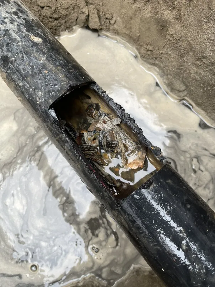 Slide of Prolific Plumbing