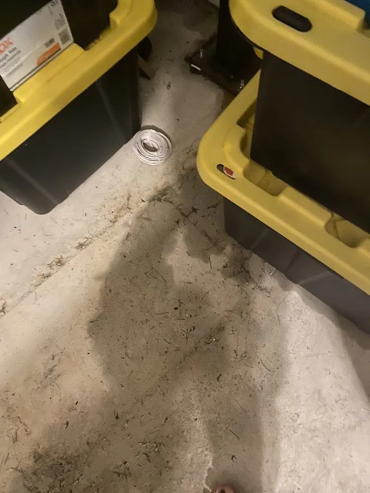 Slide of Proline Plumbing and Sewer