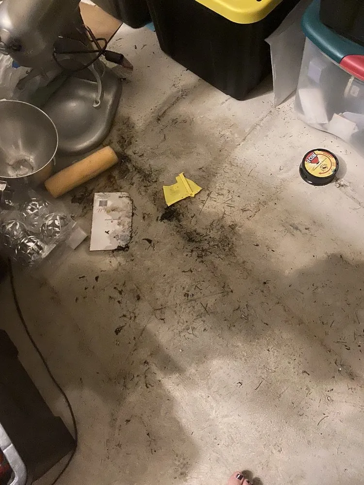 Slide of Proline Plumbing and Sewer