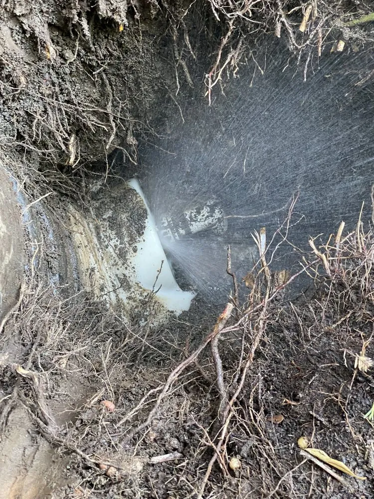 Slide of Proline Plumbing and Sewer