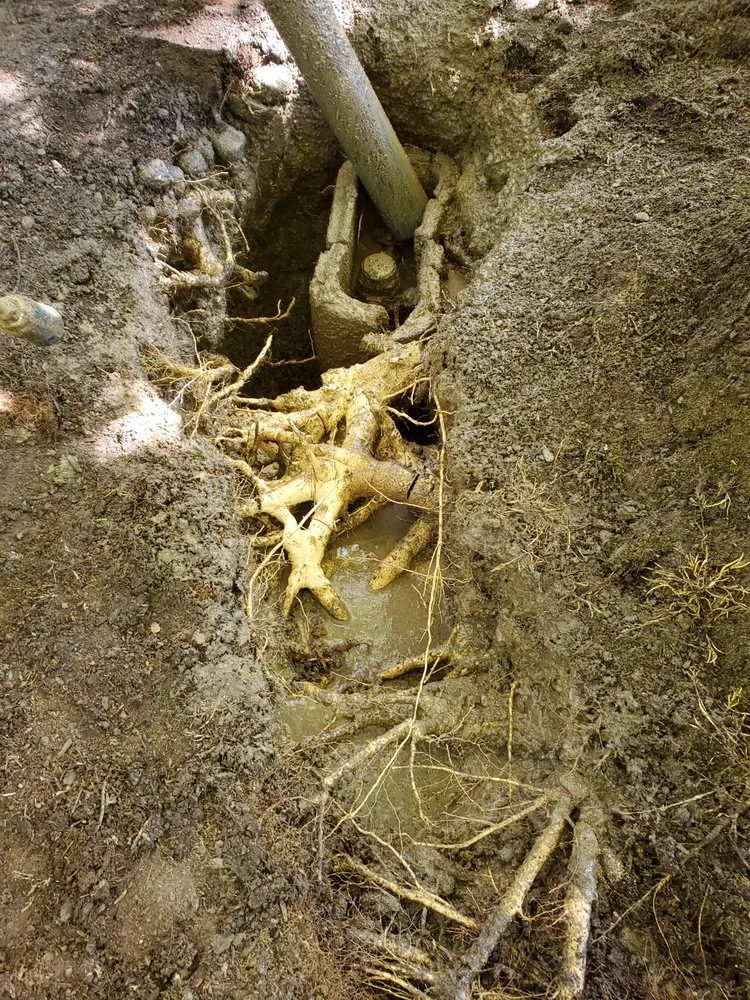 Slide of Proline Plumbing and Sewer