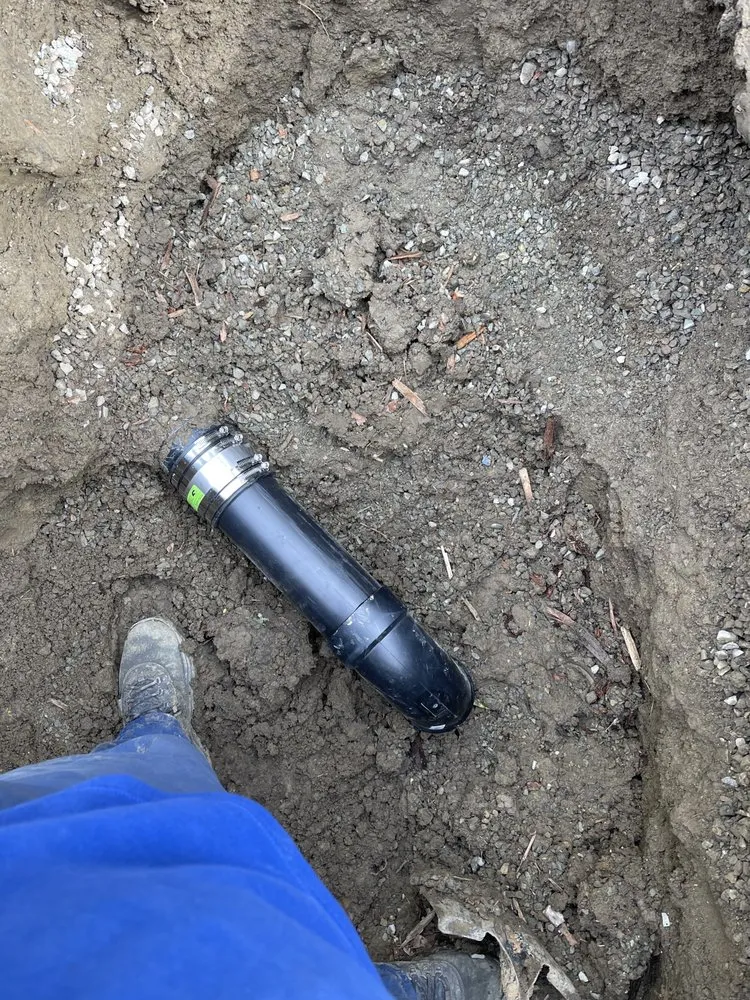 Slide of ProLine Rooter