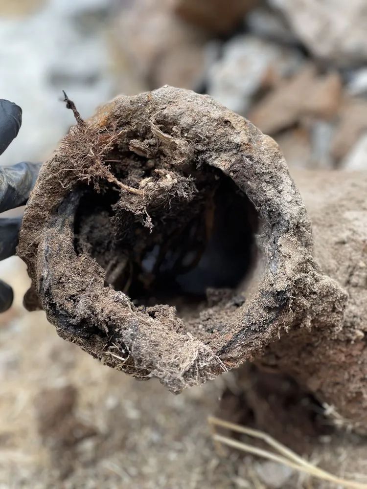 Slide of ProLine Rooter