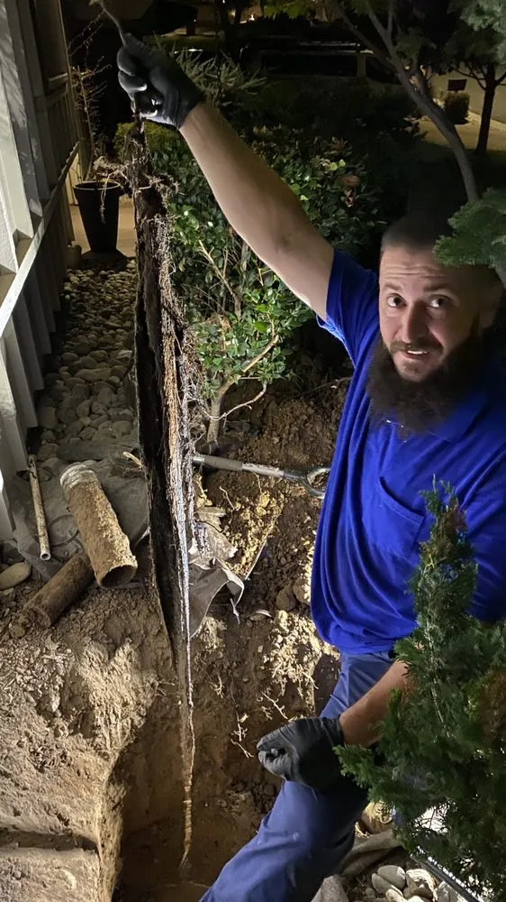 Slide of ProLine Rooter