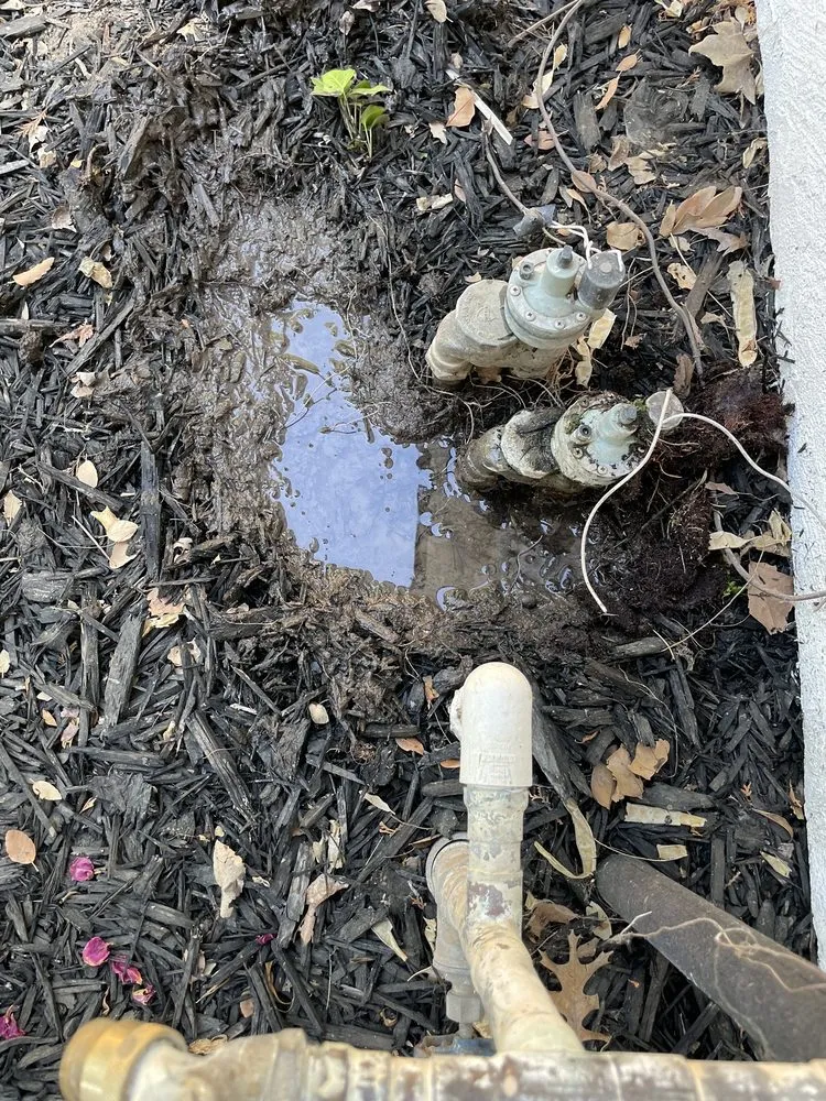 Slide of ProLine Rooter