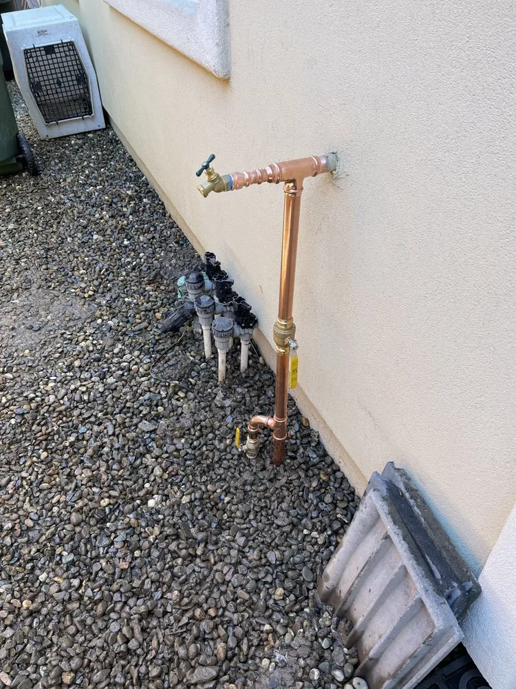 Slide of ProLine Rooter