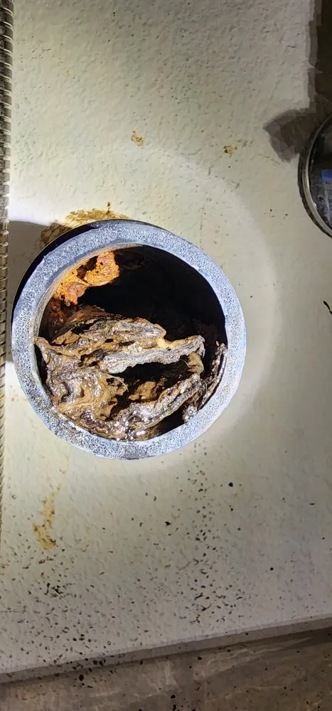 Slide of Proline Service