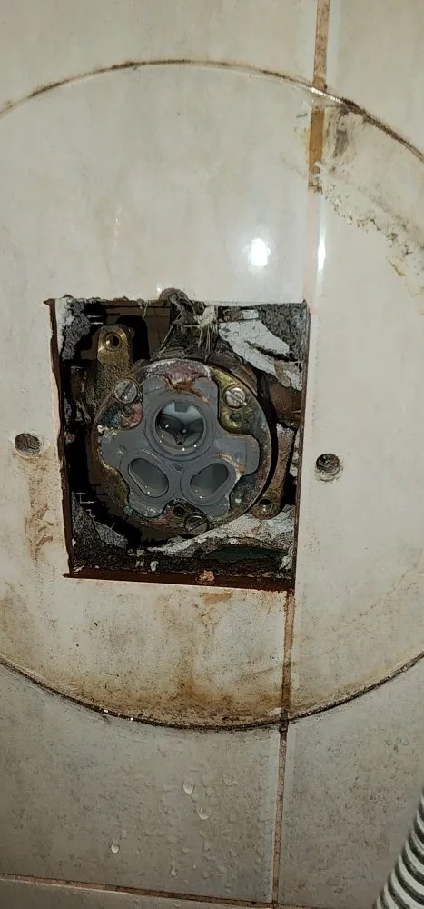 Slide of Proline Service