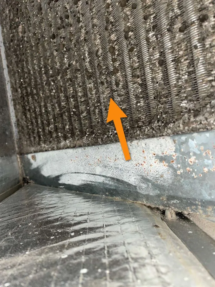 Slide of Prolong Home Maintenance 