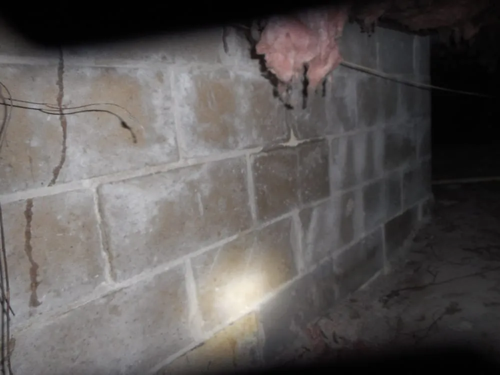 Slide of Prolong Home Maintenance 