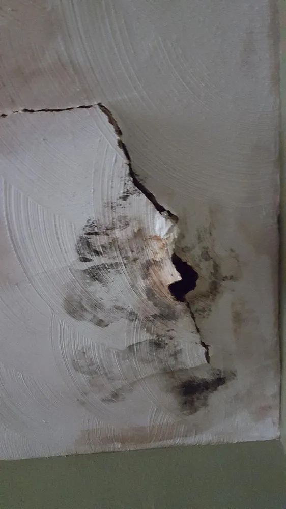 Professional drain cleaning service in Orlando, FL - Promag Energy Group