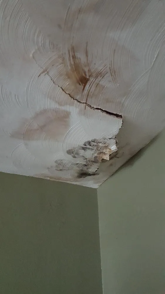 Reliable leak detection experts serving Orlando, FL - Promag Energy Group