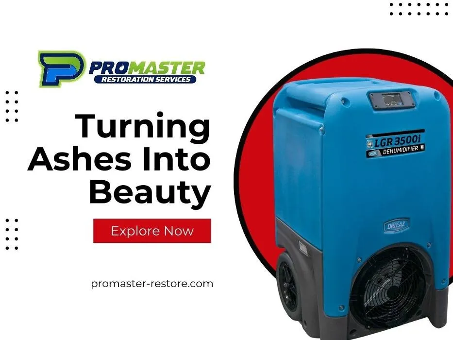 Slide of ProMaster Restoration Services
