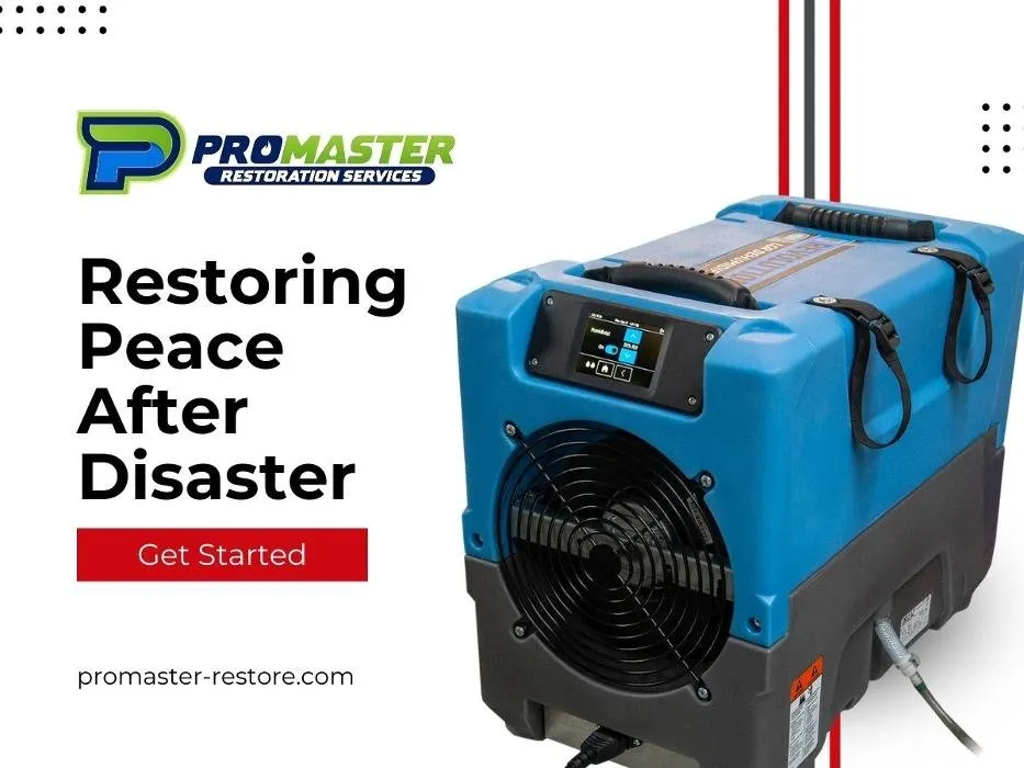 Slide of ProMaster Restoration Services