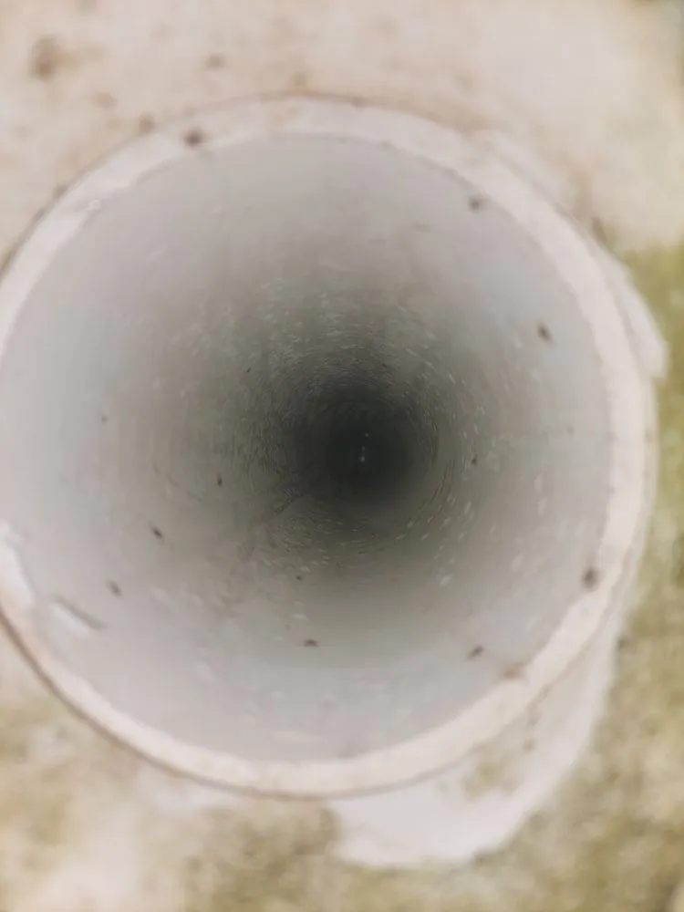 Slide of Promaster service