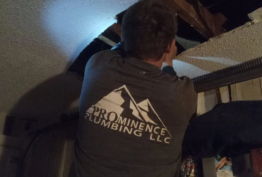 Slide of Prominence Plumbing