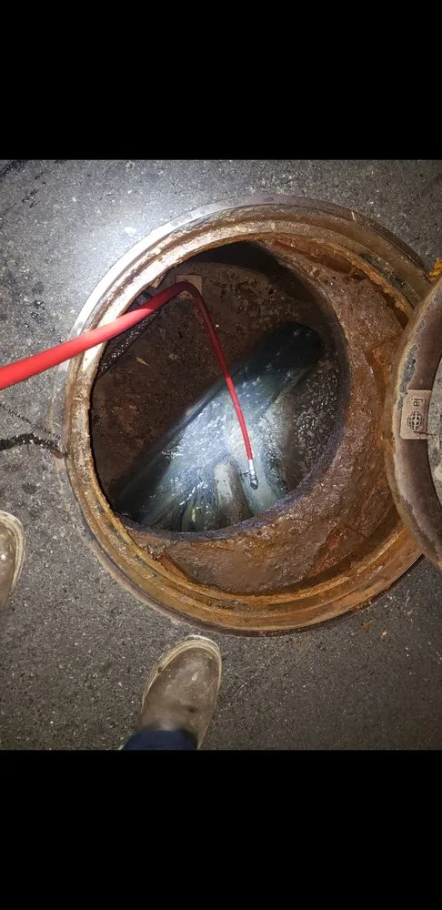 Top-rated pipe repair service in Alexis, NC - Prompt And Efficient Services