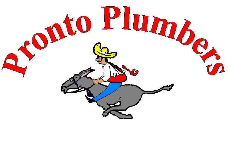Slide of Pronto Plumbers