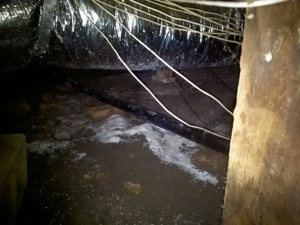 Slide of Pronto Plumbing & Drains