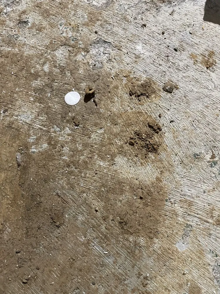 Slide of Pronto Plumbing Heating Air Drains