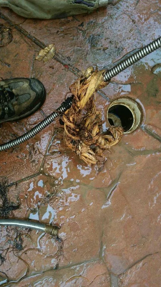 Slide of Pronto Rooter