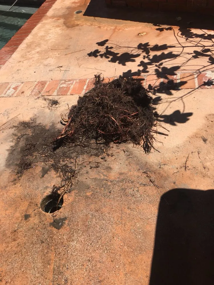 Slide of Pronto Rooter