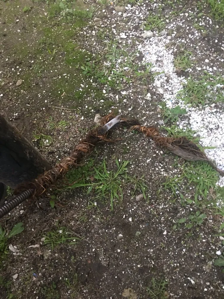 Slide of Pronto Rooter