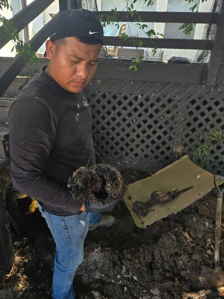 Expert water heater service for homes in Los Angeles, CA by Properly Done Rooter & Plumbing Service