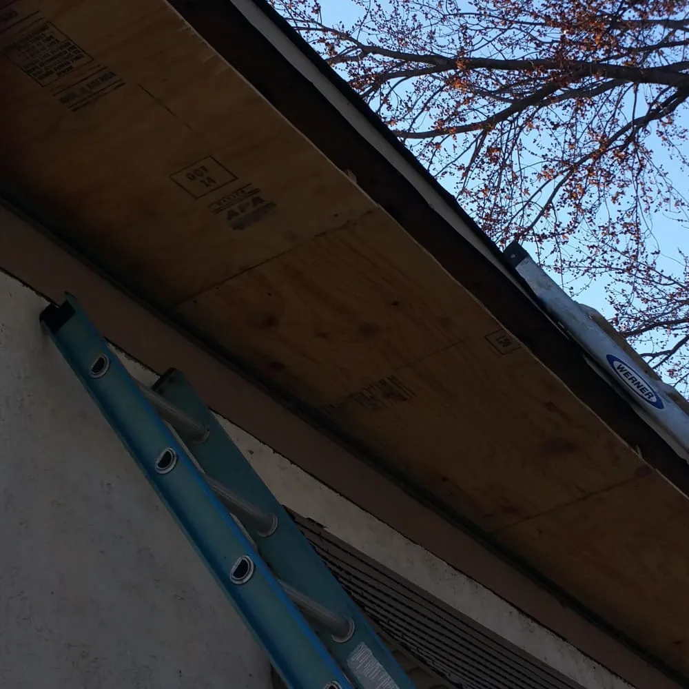 Slide of Property Protectors TBC